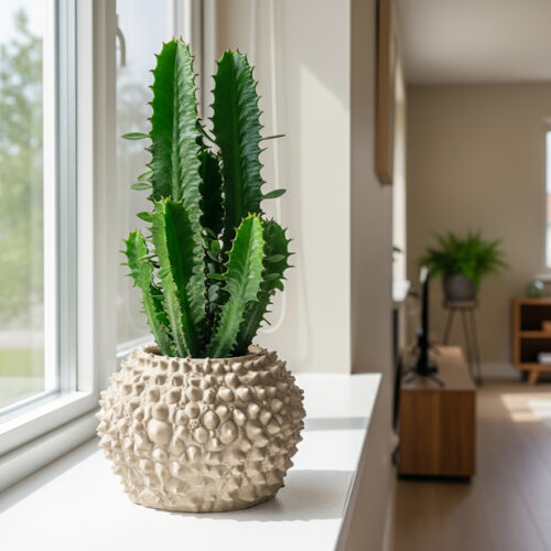 Extravaganter Blumen-Übertopf Spiky